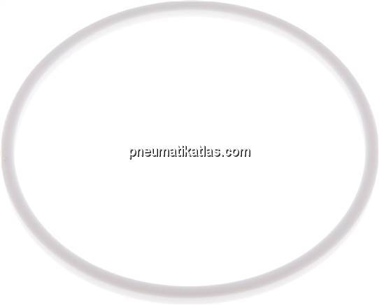 Dichtung (Milchgewinde) DN 150, PTFE (weiß), 155x167x7,0mm