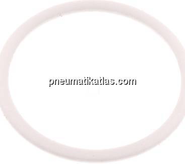 Ersatzdichtung (R / Rp 1-1/4") 54,5x46,5x1,5, PTFE