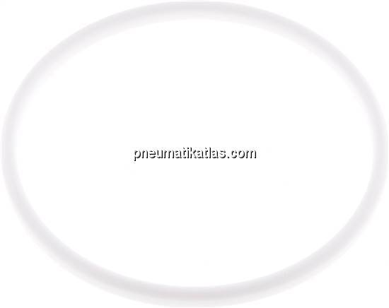 Dichtung (Milchgewinde) DN 125, PTFE (weiß), 130x142x7,0mm