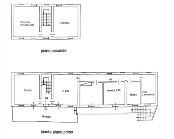 Pianta 3 di 3