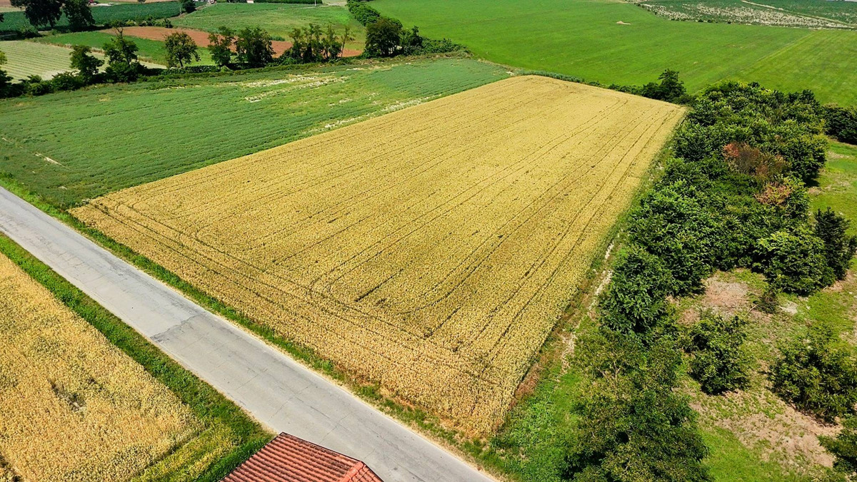 Un terreno pianeggiante dove costruirsi la casa su misura