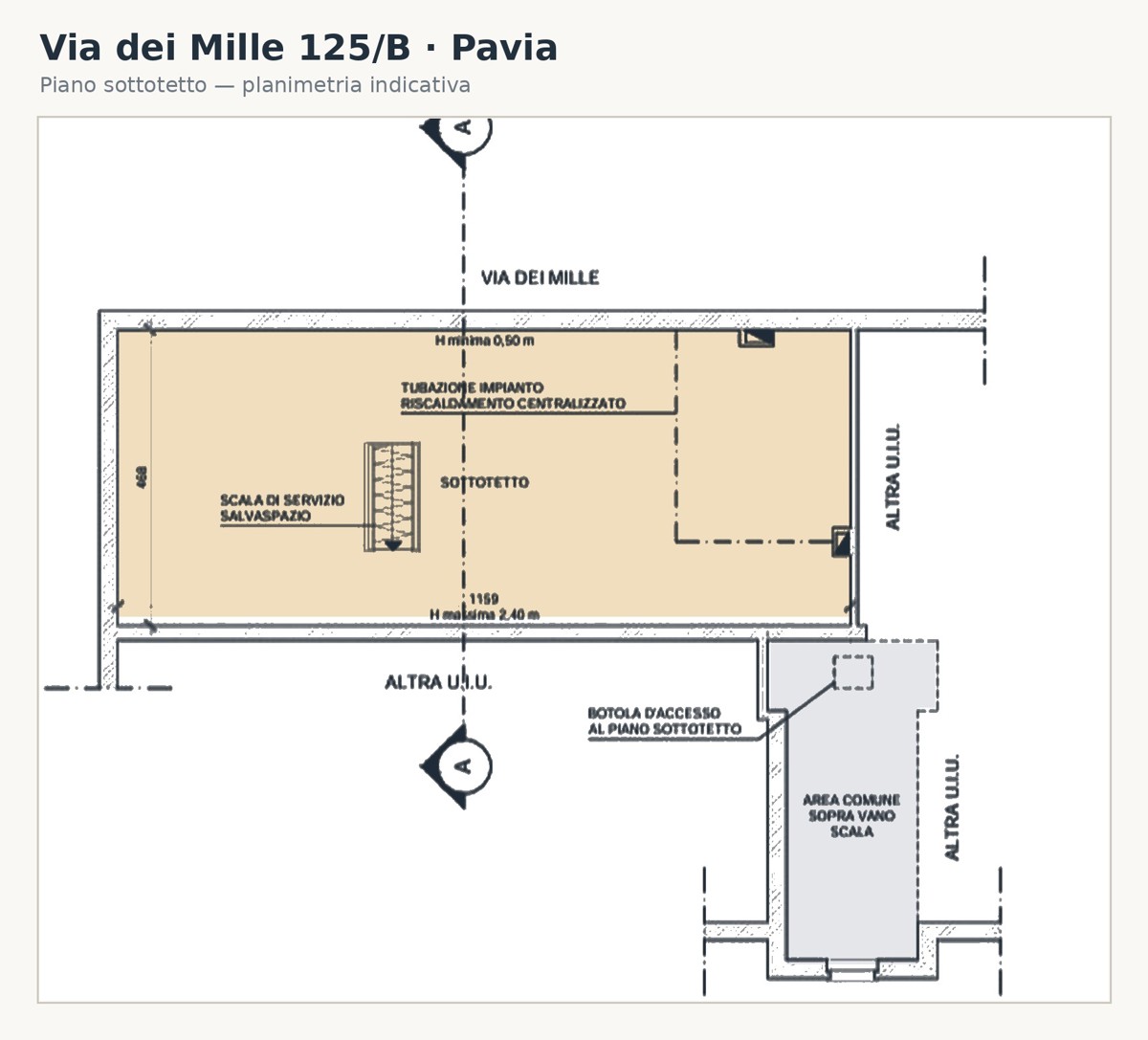 Pianta 1 di 2