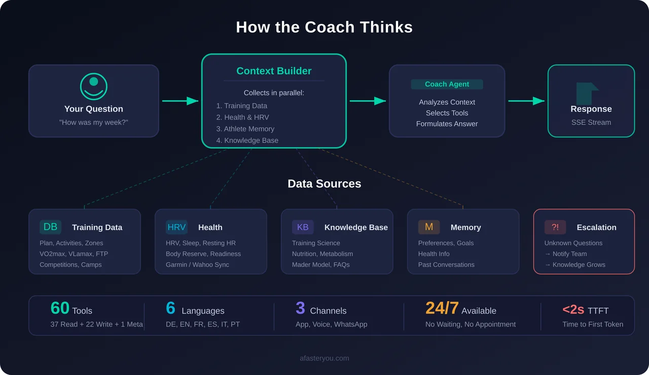 Seu coach virtual — o que ele pode fazer e como ele pensa