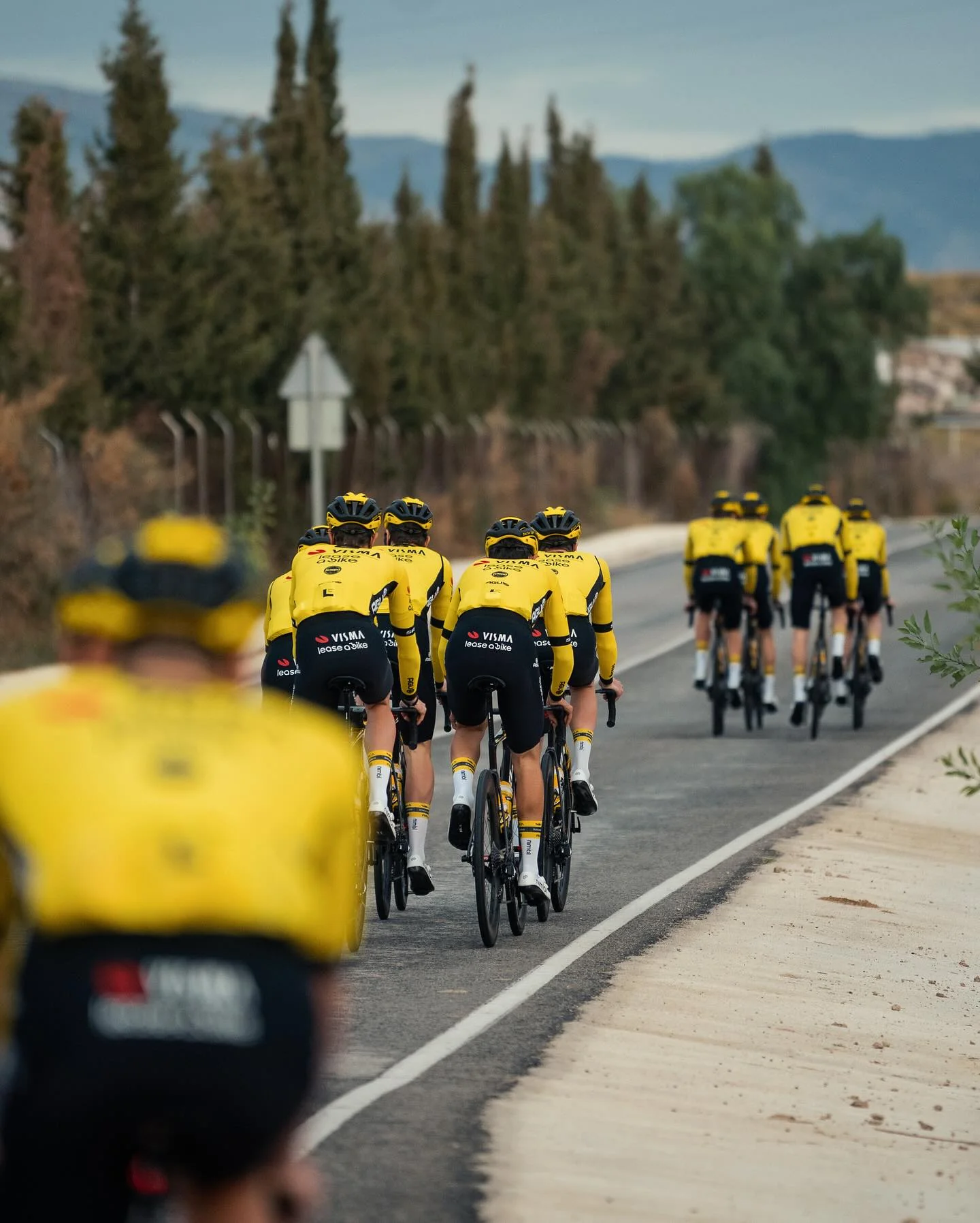 Equipo Visma | Alquila una bici 🤝 Aerotune 🤖 - Image 5