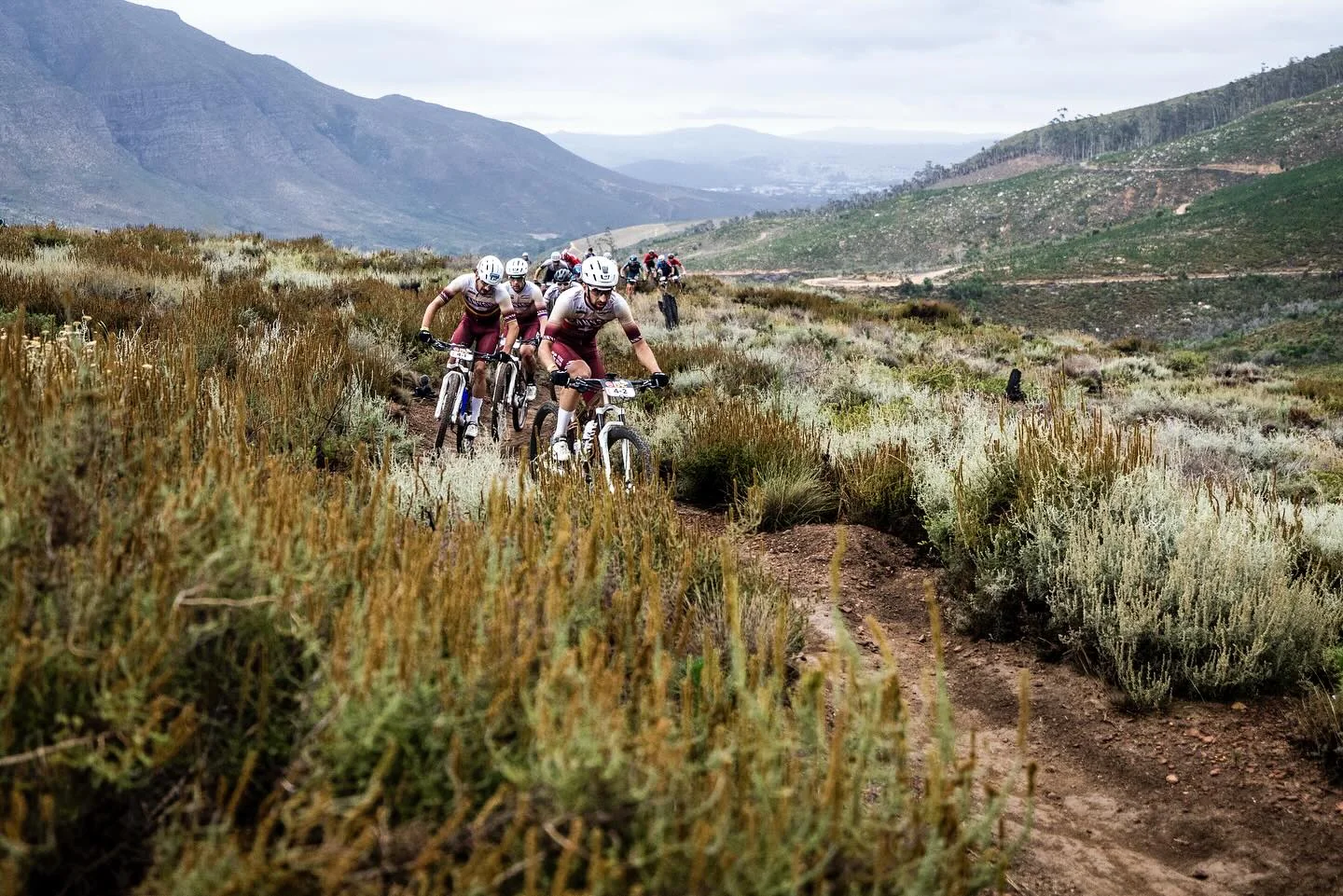 🥳 Cape Epic ✔️ - Image 4