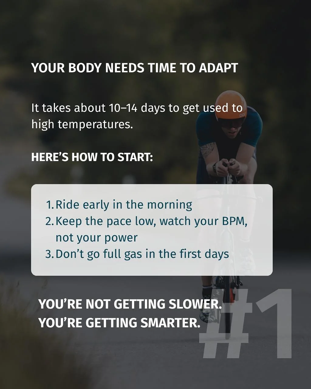 🥵 Some rides test your legs. - Image 3