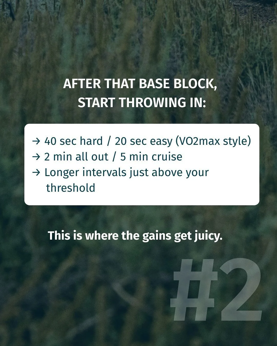 A maioria dos ciclistas quer as mesmas coisas: - Image 4