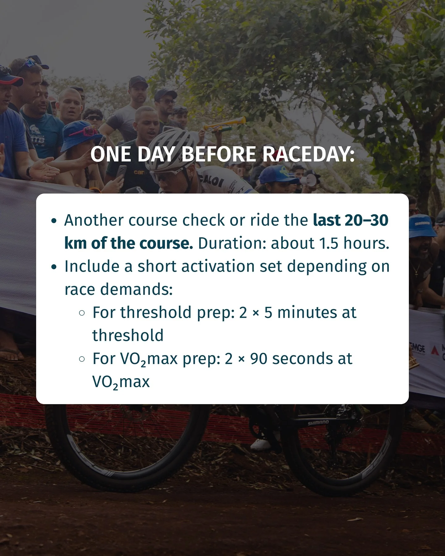 La semaine de la course, c’est dans les petits détails qui font toute la différence. - Image 5