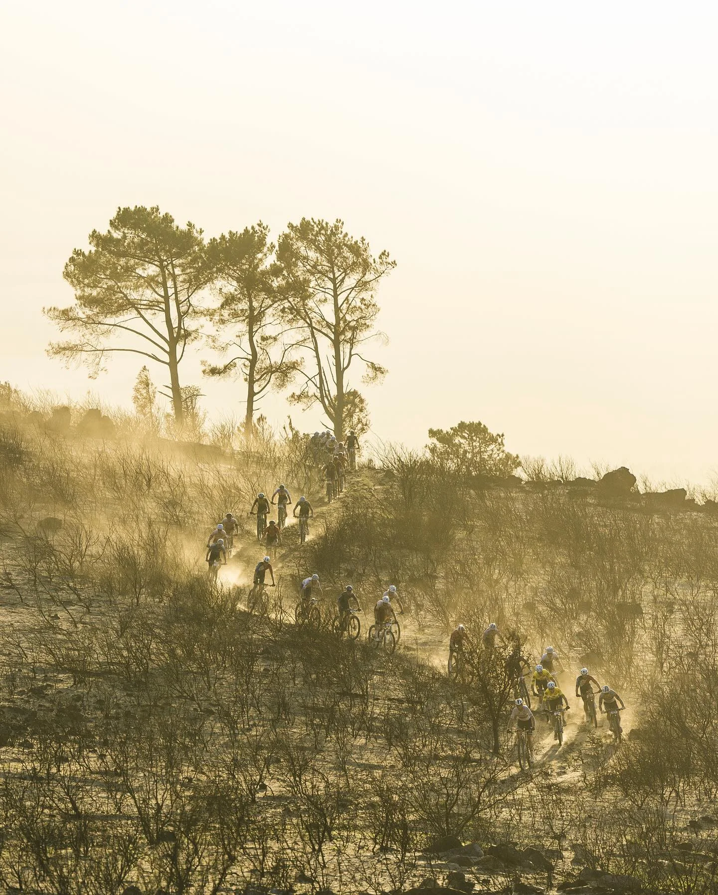 Resumo do treinador - Björn sobre a Cape Epic 2024 🇿🇦 - Image 8