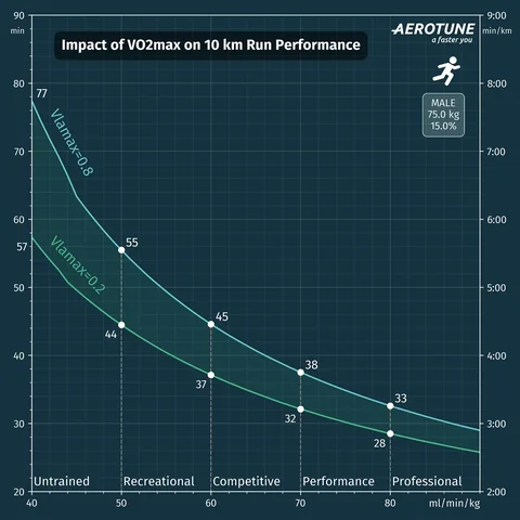 🏃‍♂️Attention Runners and Triathletes ‼️ We’ve got some crucial insights for you: How does VO2max...