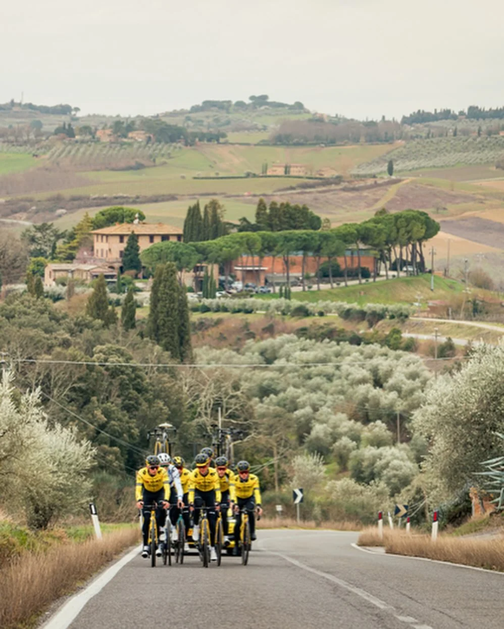 Equipo Visma | Alquila una bici 🤝 Aerotune 🤖 - Image 4