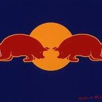 Red Bull BORA hansgrohe