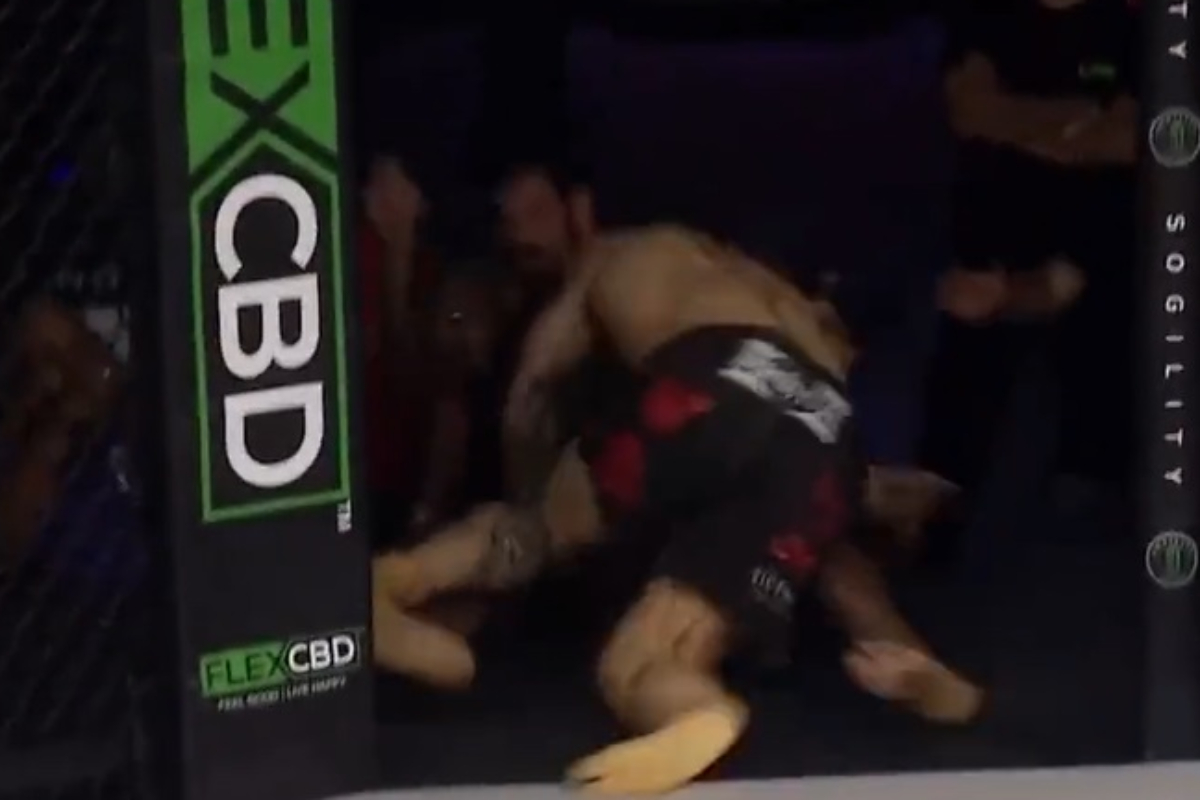 Lance inusitado aconteceu no LFA