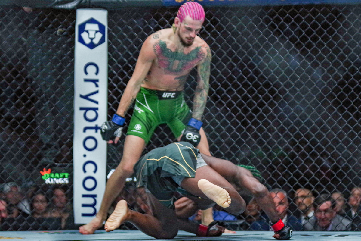 Sean O'Malley é campeão do peso-galo do UFC