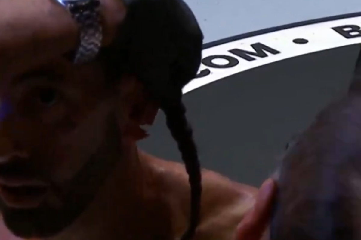 Orelhada cortada de Gee Perez