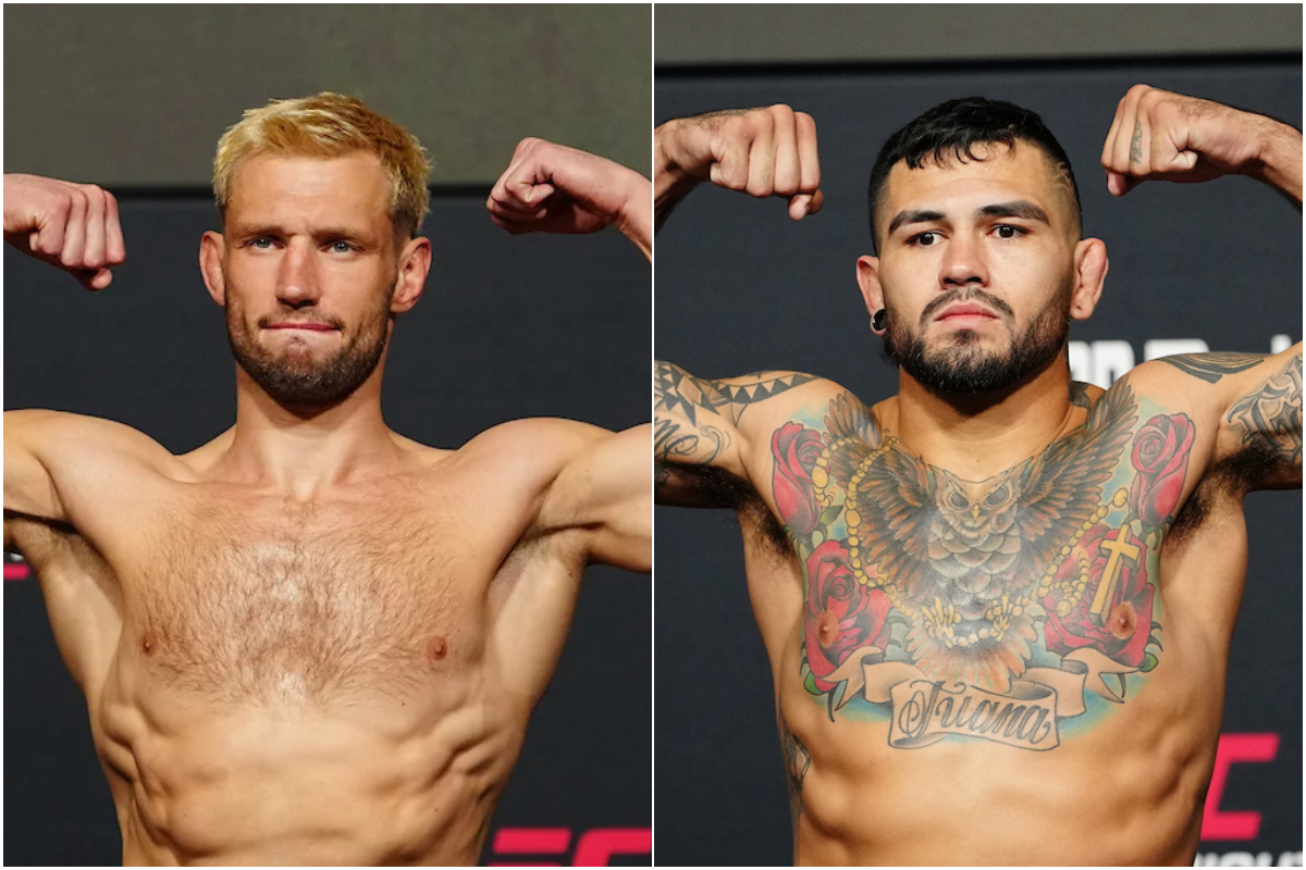 Montagem Reinier de Ridder e Anthony Hernandez