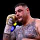 Andy Ruiz Deontay Wilder