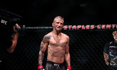 TJ Dillashaw