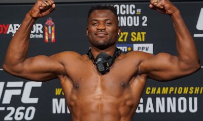 Ngannou boxeo