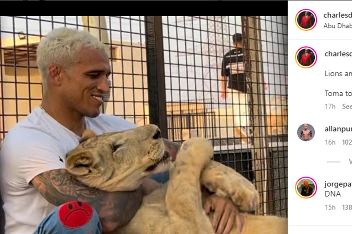 Charles ‘Do Bronx’ camina con un león en Abu Dhabi