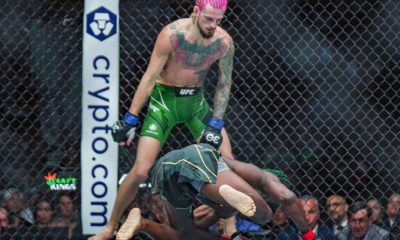 aljamian sterling-sean-omalley-ufc-292