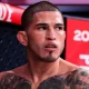 Anthony Pettis