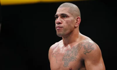 alex-pereira-ufc-313-derrota