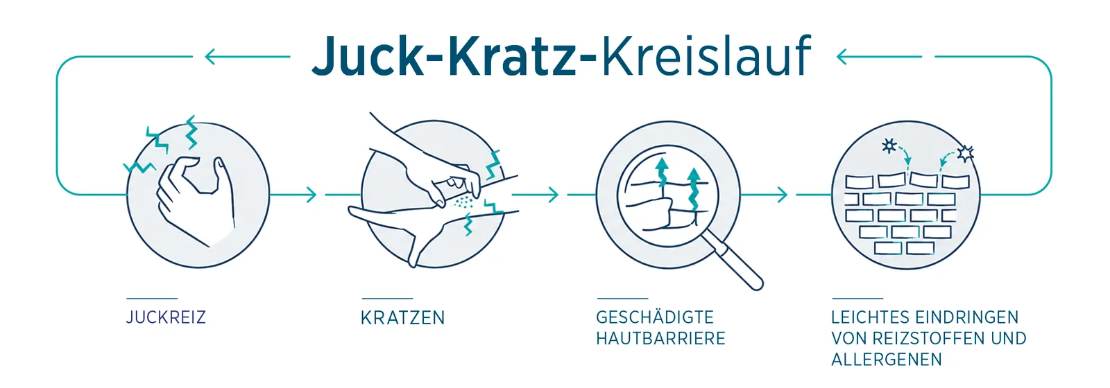 Der Juckreiz-Kratz-Kreislauf bei Neurodermitis: geschwaechte Hautbarriere, Juckreiz, Kratzen, weitere Schaedigung, Entzuendung und verstaerkter Juckreiz