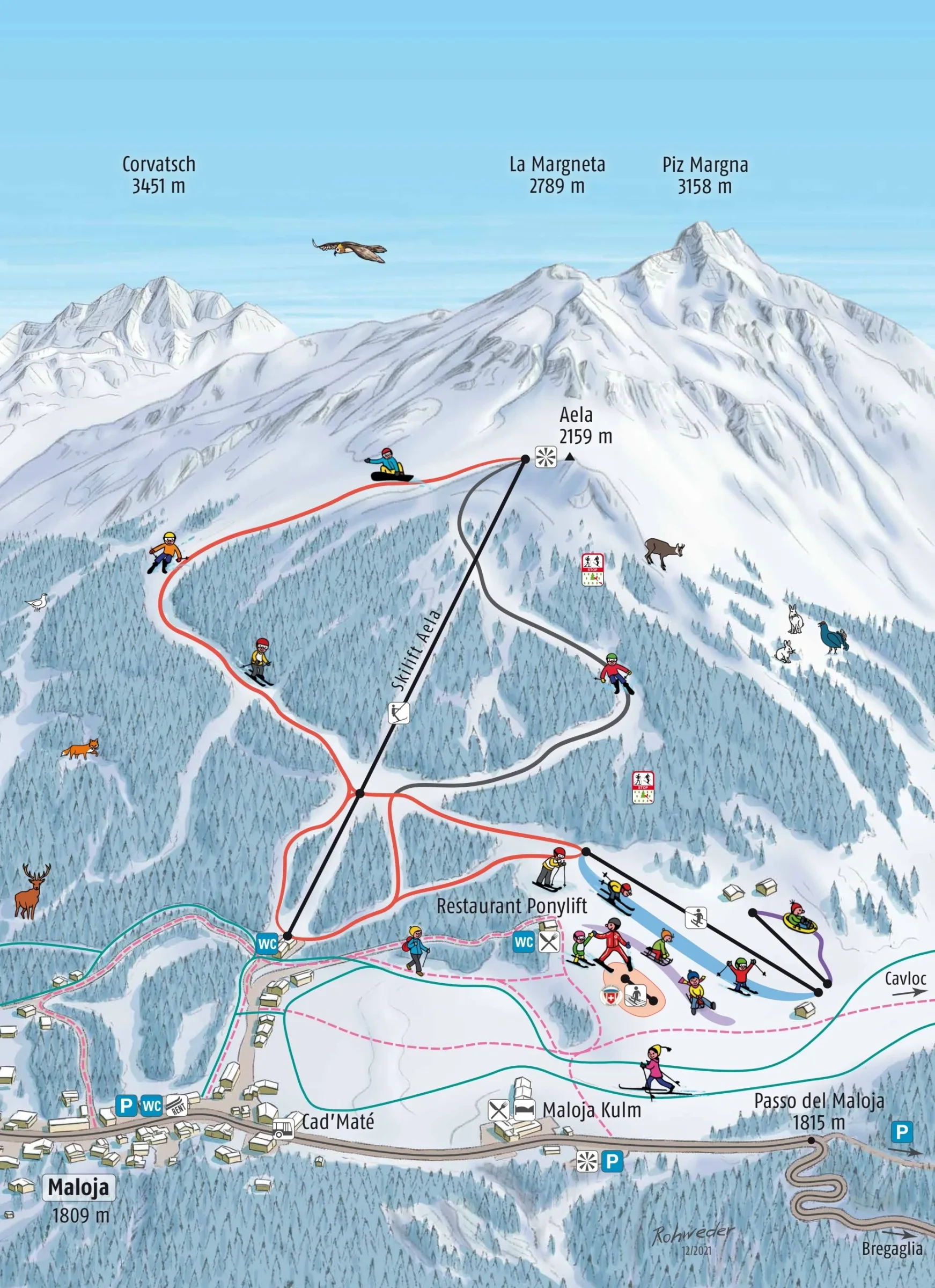 Pistenplan Maloja (Aela) 2025/26 – Übersichtskarte mit Pisten, Liften und Bergbahnen
