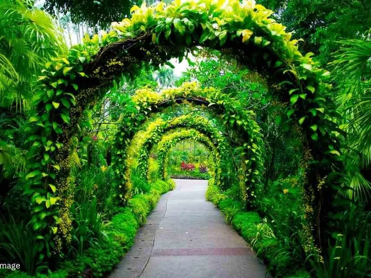 Landscaped park at IVC Northshire Address