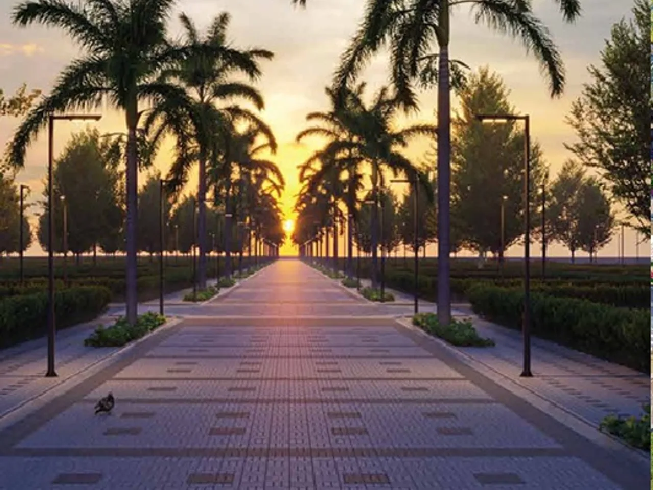Tree-lined internal roads with well-planned layout at Sattva Doddaballapur Road
