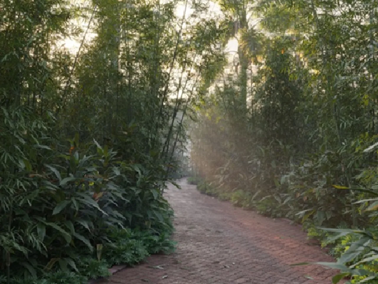 Themed Urban Forest Zone within Township