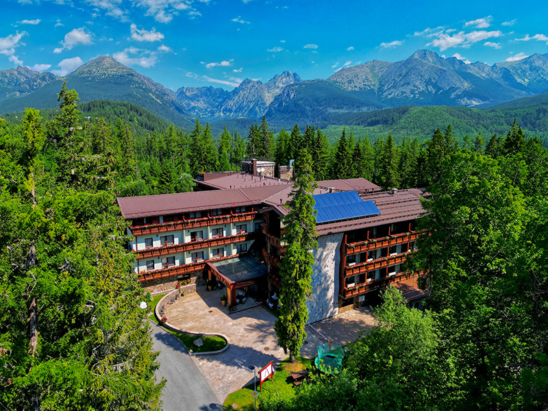 Wellness Hotel Borovica****