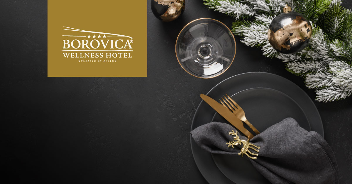 Christmas Stay at Hotel Borovica