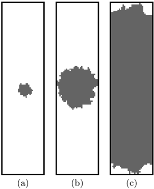 picture-3.png