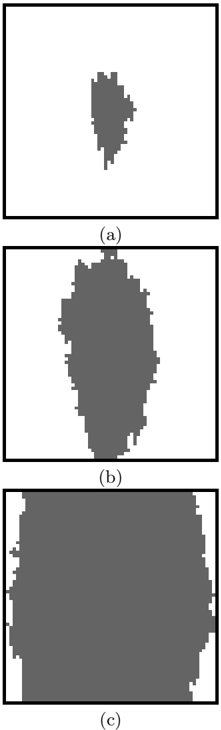 picture-7.png