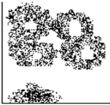 picture-13.png