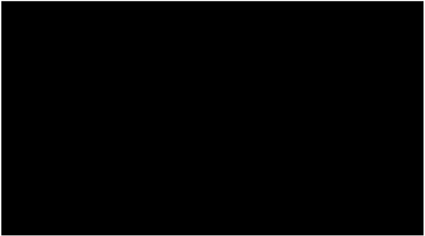 picture-8.png