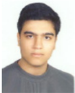 picture-3.png