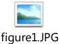 picture-4.png