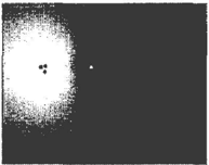 picture-3.png
