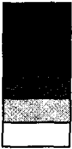 picture-5.png