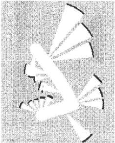 picture-12.png