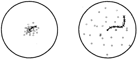 picture-2.png