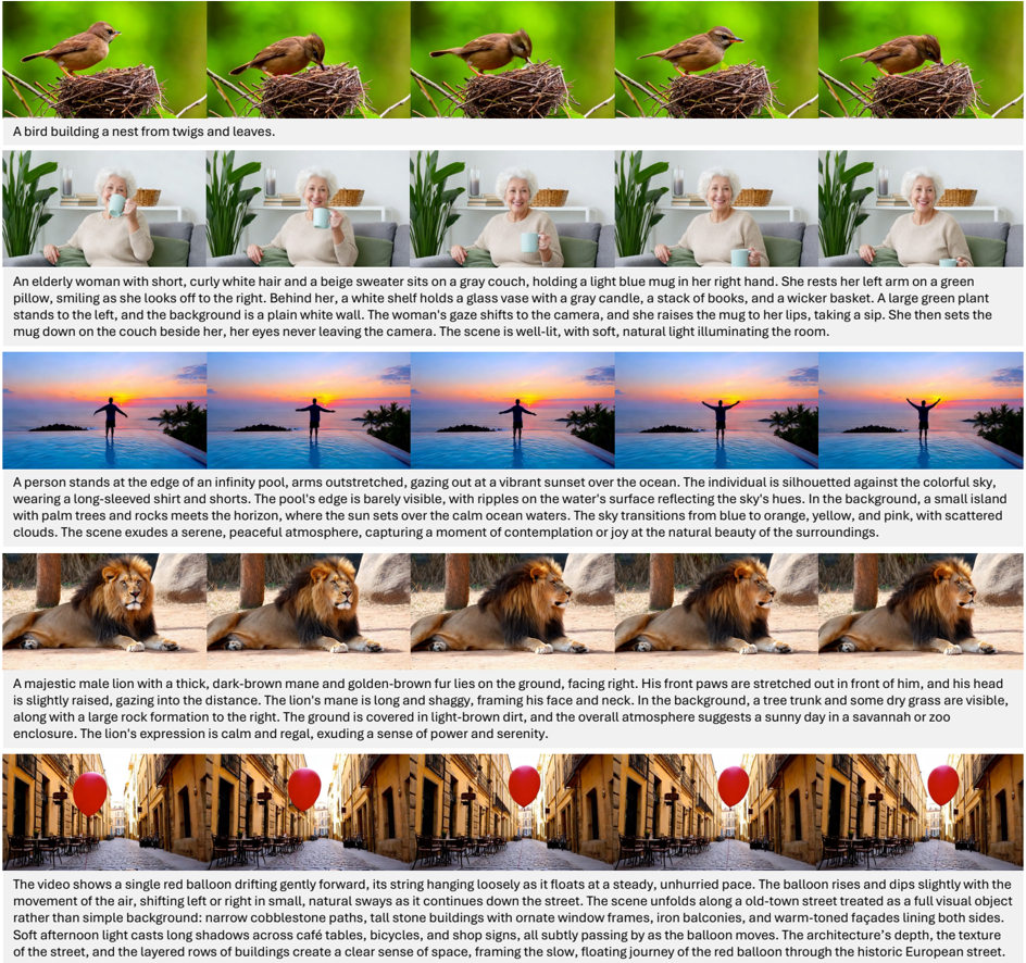 picture-11.png