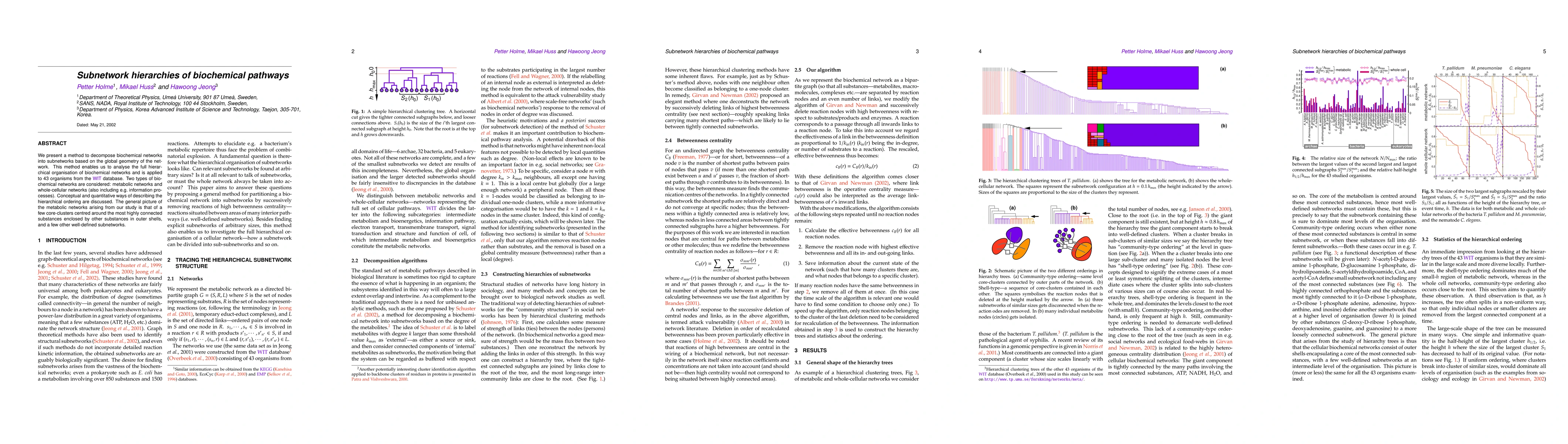 Thumbnail for Subnetwork hierarchies of biochemical pathways
