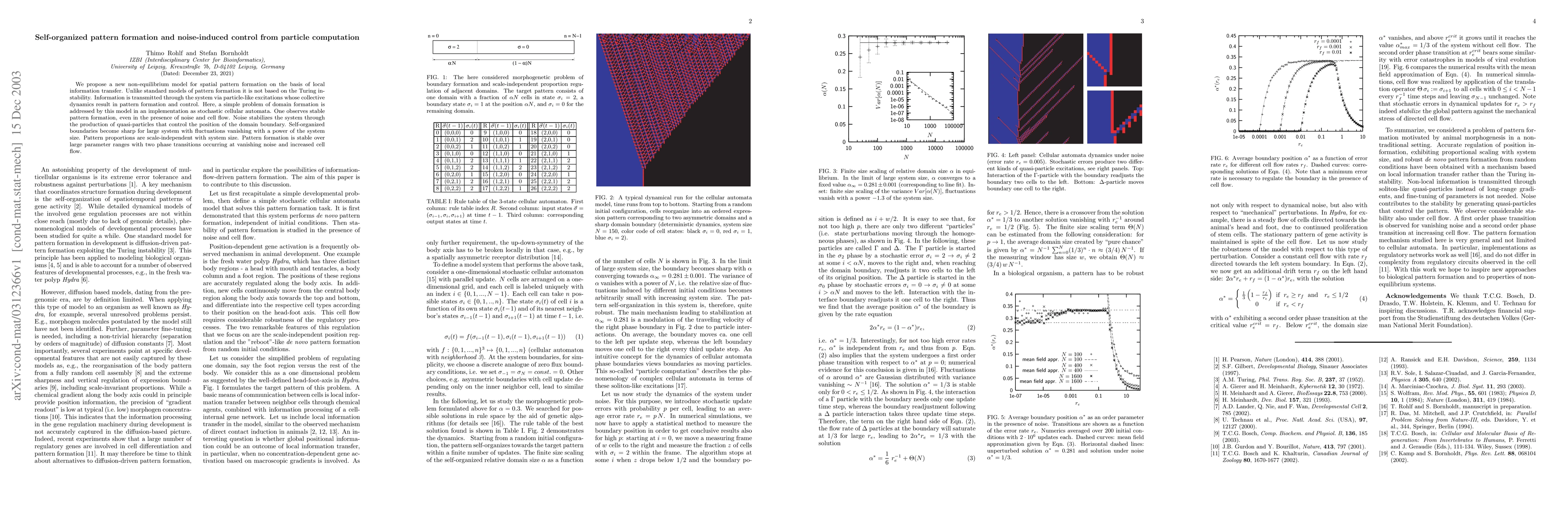 Thumbnail for Self-organized pattern formation and noise-induced control from particle
  computation
