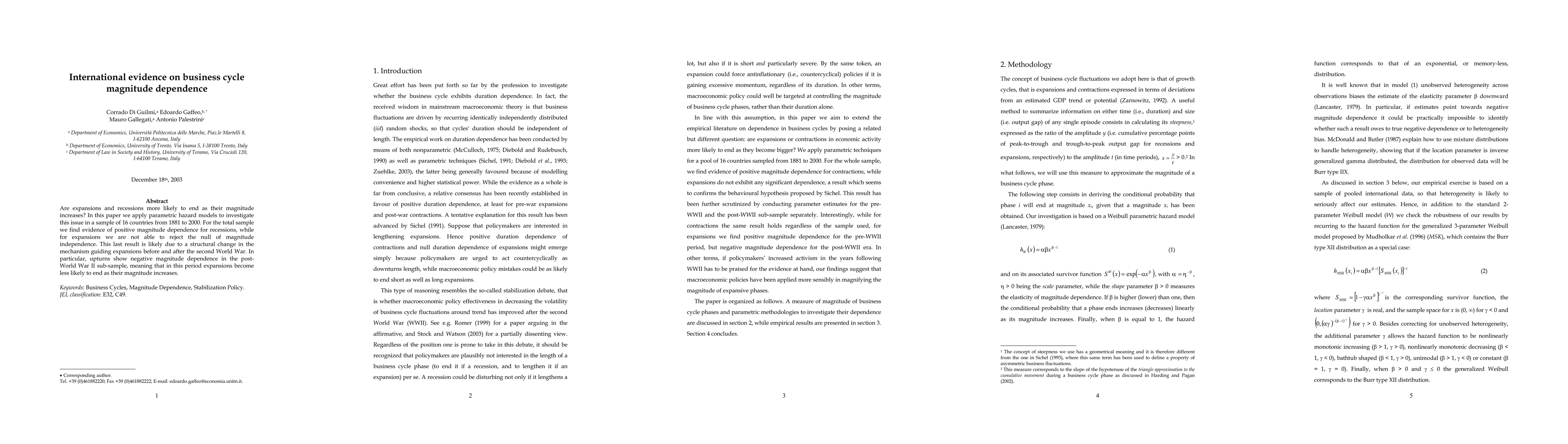 Thumbnail for International evidence on business cycle magnitude dependence