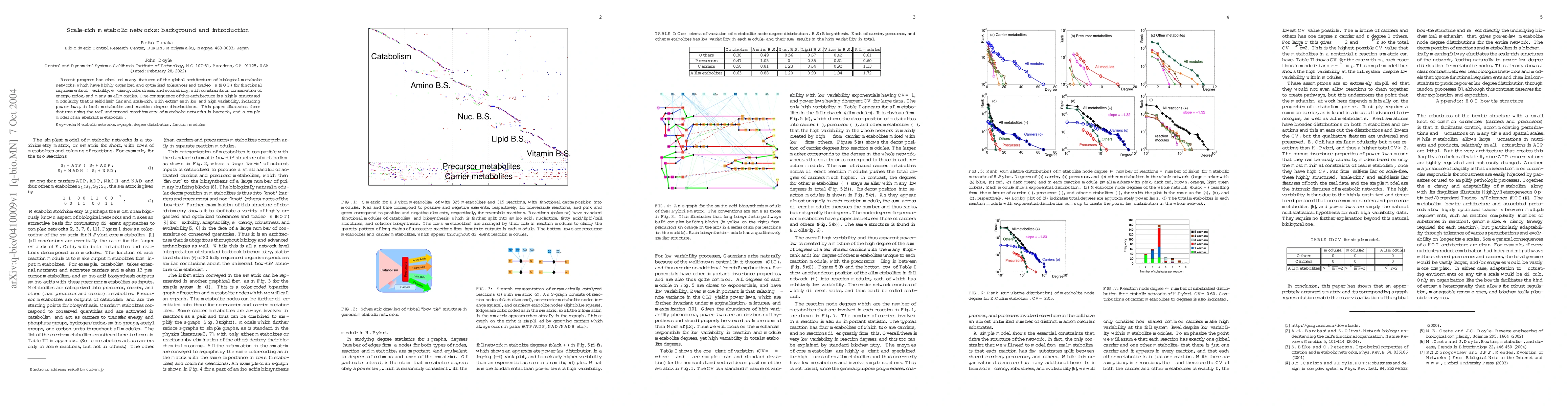 Thumbnail for Scale-rich metabolic networks: background and introduction