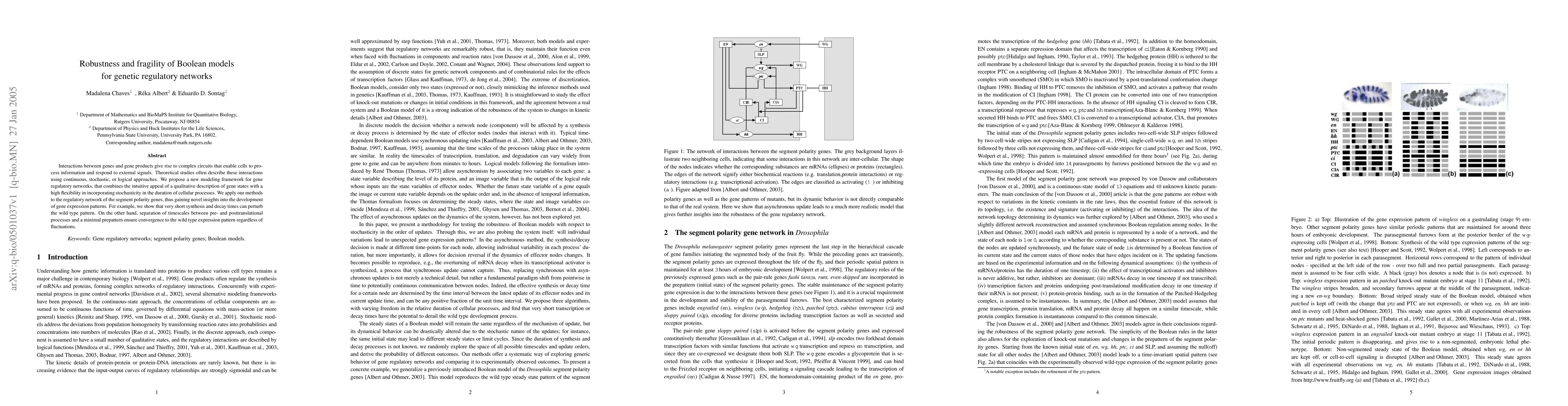 Thumbnail for Robustness and fragility of Boolean models for genetic regulatory
  networks